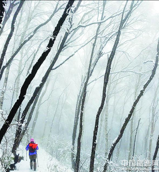 雪中五岳寨