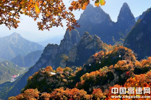 五岳寨枫叶正红